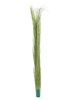 Europalms Reed grass, light green, artificial, 127cm