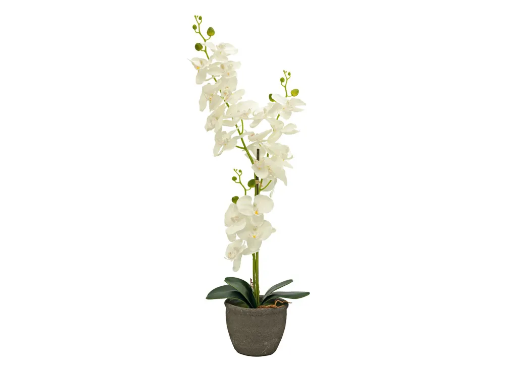 Europalms Orchid, artificial plant, cream, 80cm