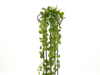Europalms Pothos bush tendril premium, artificial, 170cm
