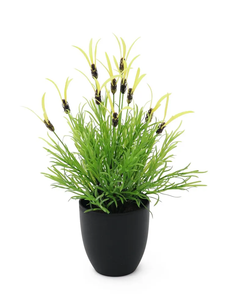 Europalms Feather lettuce, artificial, 40cm