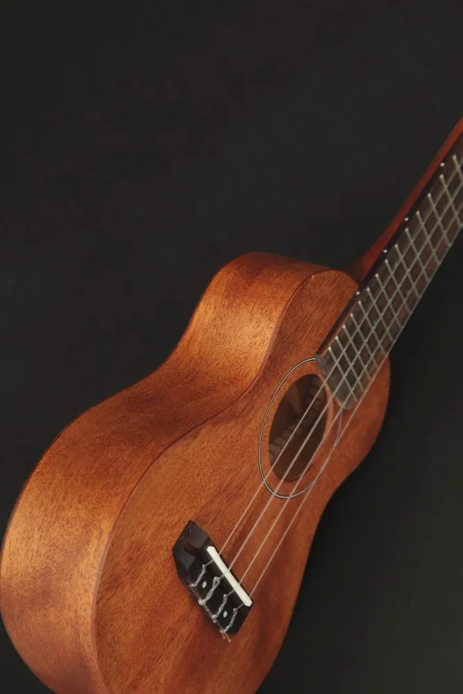 Takamine GU-C1