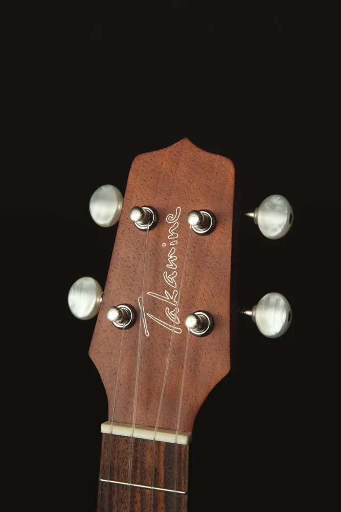 Takamine GU-C1