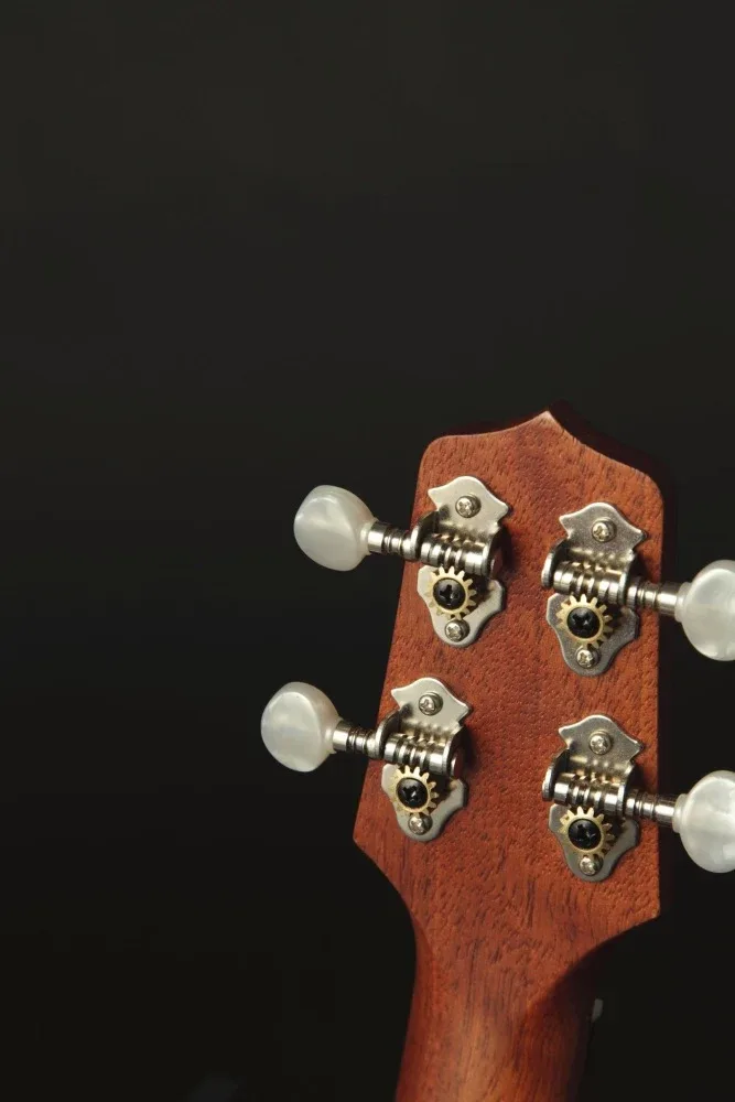 Takamine GU-C1
