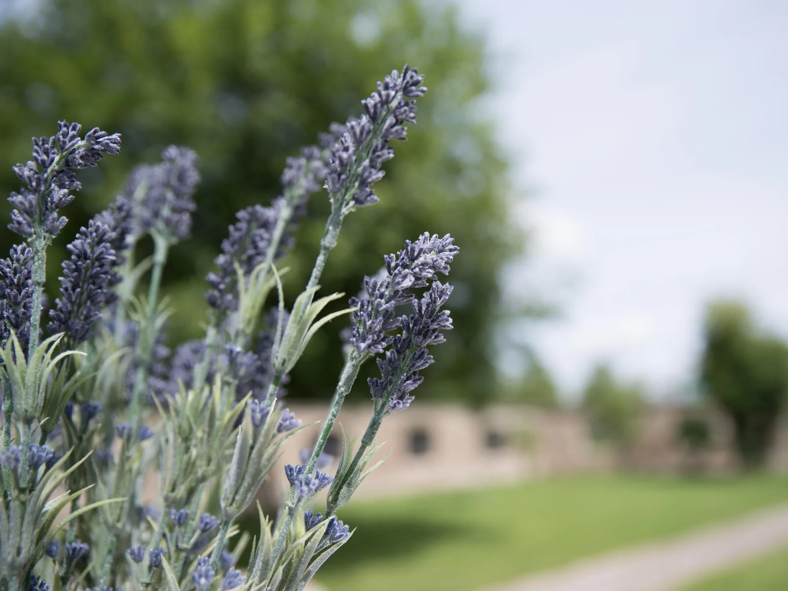 Europalms Lavender bush, artificial, 61cm